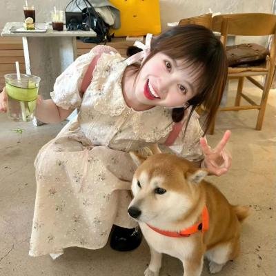 中华战士